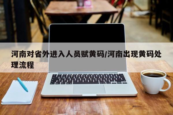 河南对省外进入人员赋黄码/河南出现黄码处理流程