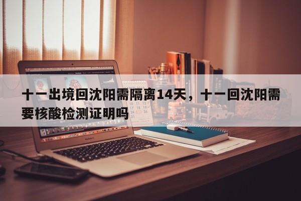 十一出境回沈阳需隔离14天，十一回沈阳需要核酸检测证明吗