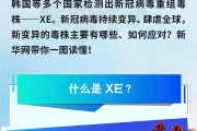什么时候解封
 /什么时候解封新冠疫情
