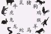 一曝十寒指什么生肖，经典解答