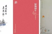 江苏作家、徐州市作家协会副主席李凌逝世，年仅52岁