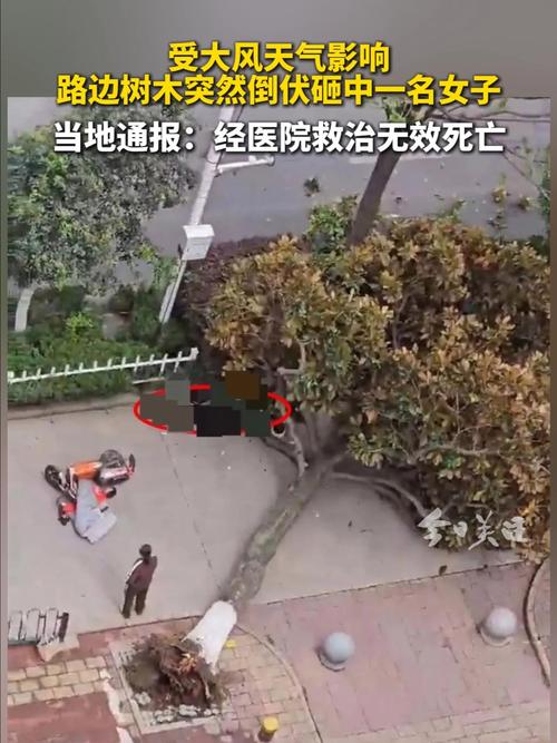 湖南长沙一女子被高空坠物砸中身亡，事故原因正在调查中