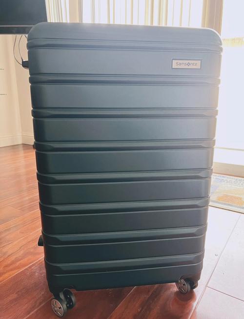 大摩:料新秀丽将出现显著估值重估 目标价24港元