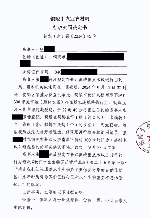 长江健康（002435）投资者索赔案再提交法院立案