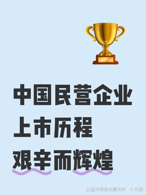 希音/Temu面临美国监管机构审查