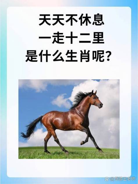 万里印刷：泰达获委任为新任核数师